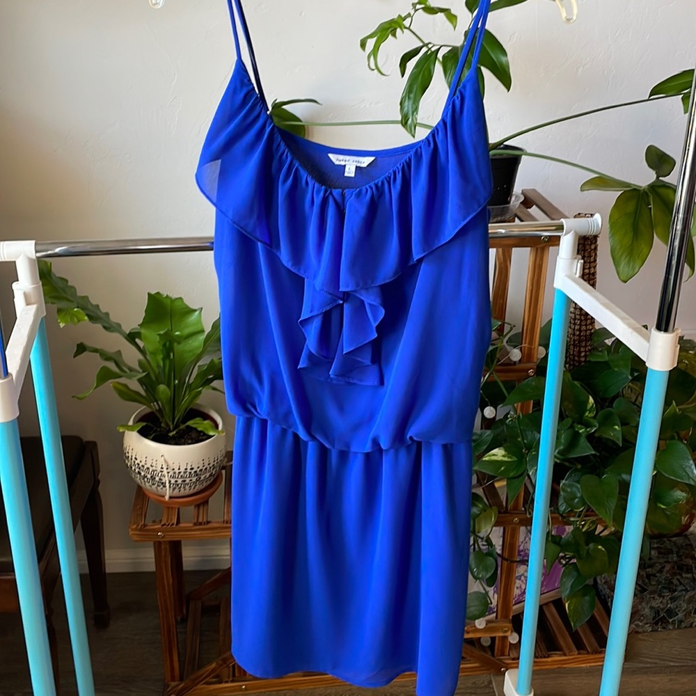 Bright Blue Naked Zebra dress - Size Large